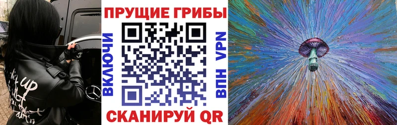 Галлюциногенные грибы GOLDEN TEACHER где можно купить наркотик Чёрмоз